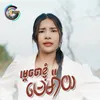 ម្តេចថាខ្ញុំមេម៉ាយ