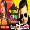 About Parwane Ishq Chad Gya Song