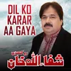 About Dil Ko Karar Aa Gaya Song