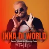 About Inna Di World Song