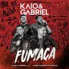 About Fumaça Song