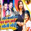 About Tor Kamariya Par Chal Jaai Goli Gori Song