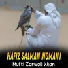 About Mufti Zarwali Khan Song