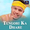 About Tungori Ka Dhare Song