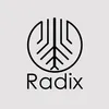 About RADIX Song