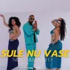 About Sule nu vase Song