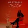 Ne szeress belém