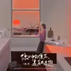 About 你口中的傻瓜是真不是假 Song