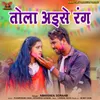About Tola Aise Rang Song