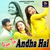 About Pyaar Toh Andha Hai Song