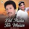 Dil Meda Tor Waisen