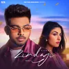 About Zindagi Song