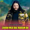 About Zarah Mea Bal Rakam Da Song