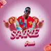 About SARE Song