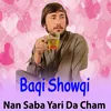 About Nan Saba Yari Da Cham Song
