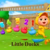 About Little Ducks Song