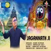 About Jagannath Ji Song