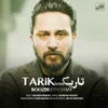 About Tarik Song