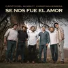 About Se Nos Fue el Amor Song