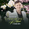 About Cánh Hồng Phai Song