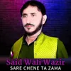 About Sare Chene Ta Zama Song