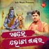 About Ahe Bhola Shankara Song