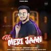 About Ho Meri Jaan Song