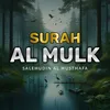 About Surah al mulk Song