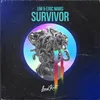 About Survivor Song