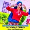 About Dhoko Mat Dijyo Mari Janu Dil Kamjor Cha Maro Song