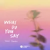 About What Do You Say Song