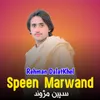About Speen Marwand Song