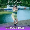 About Dragon Ball Song