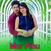 About Mor Pihu Song