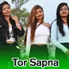 Tor Sapna