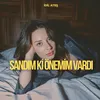 About Sandım Ki Önemim Vardı Song