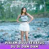 About Pinjam Dulu Seratus Song