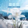 雪绒花