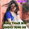 About JANU THAR BIN JINDGI SUNI HE Song