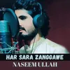 About Har Sara Zanggawe Song