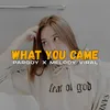 DJ WHAT YOU CAME FOR X MELODY OWI OWI FULL BASS