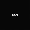About P.A. P.I Song