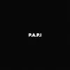 P.A. P.I