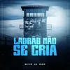 About Ladrão Não Se Cria Song