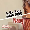 About Julfa Aale Naag Song