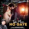 About Tum Mere Ho Gaye Song