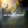 Om Namah Shivay