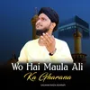 About Wo Hai Maula Ali Ka Gharana Song