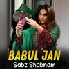 About Sabz Shabnam Song