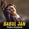 About Zeba Ansane Song